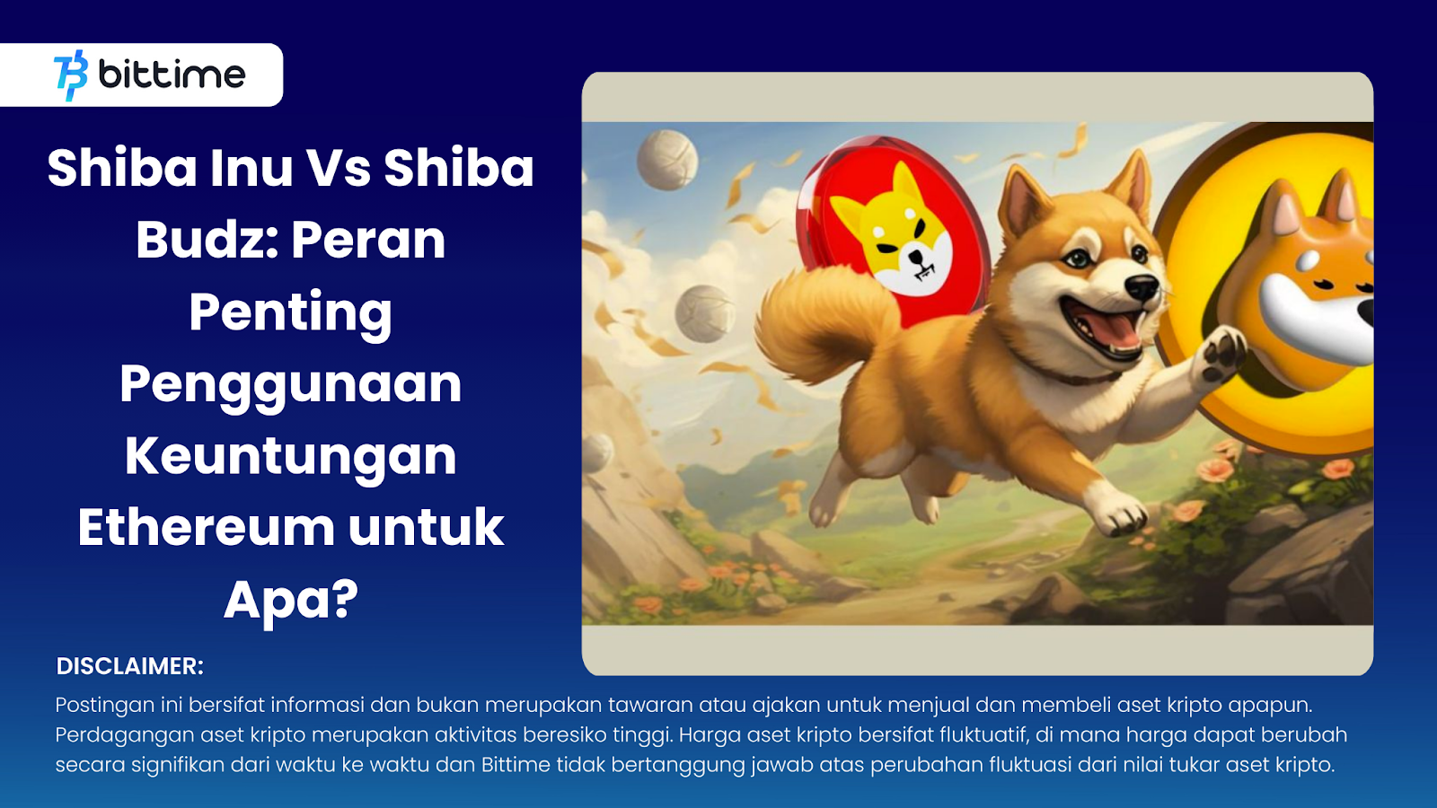 Shiba Inu Vs Shiba Budz The Important Role Of Using Ethereum Profits