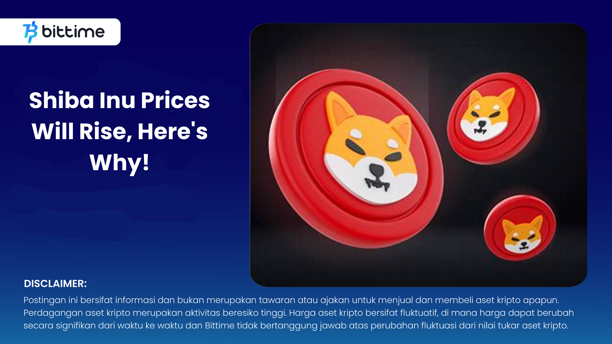 Shiba Inu Prices Will Rise, Here's Why! – Bittime