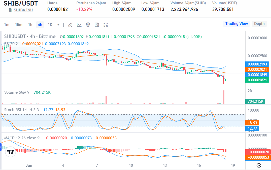 Shiba Inu (SHIB) Price Prediction 2025 2034, Will Break Through This Much! Bittime