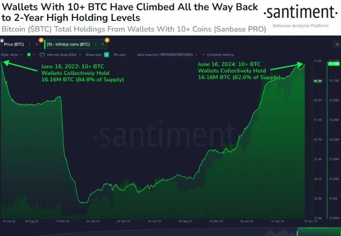 wallet whale Bitcoin.jpg