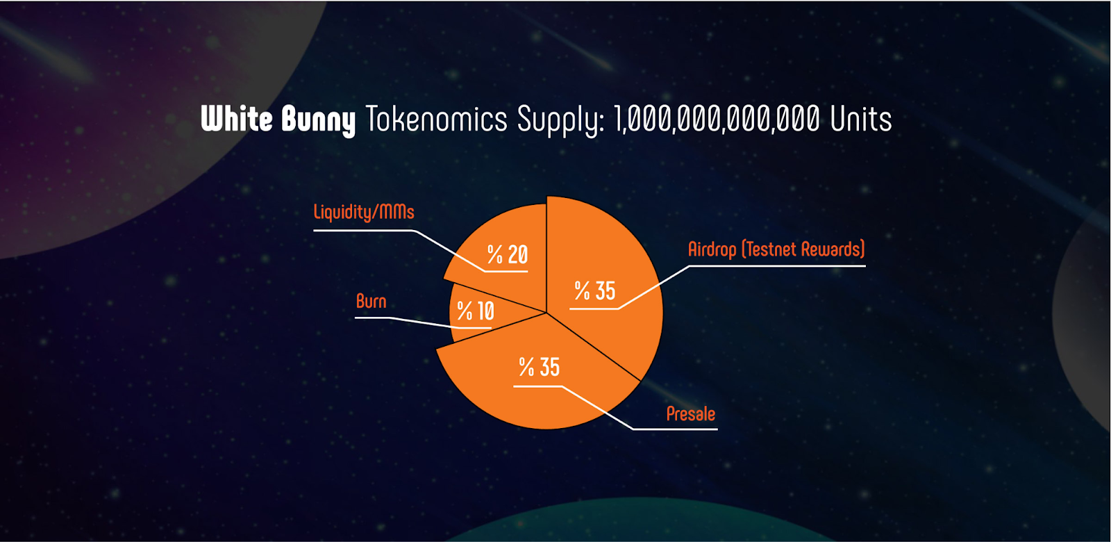 tokenomics white bunny (BNY)
