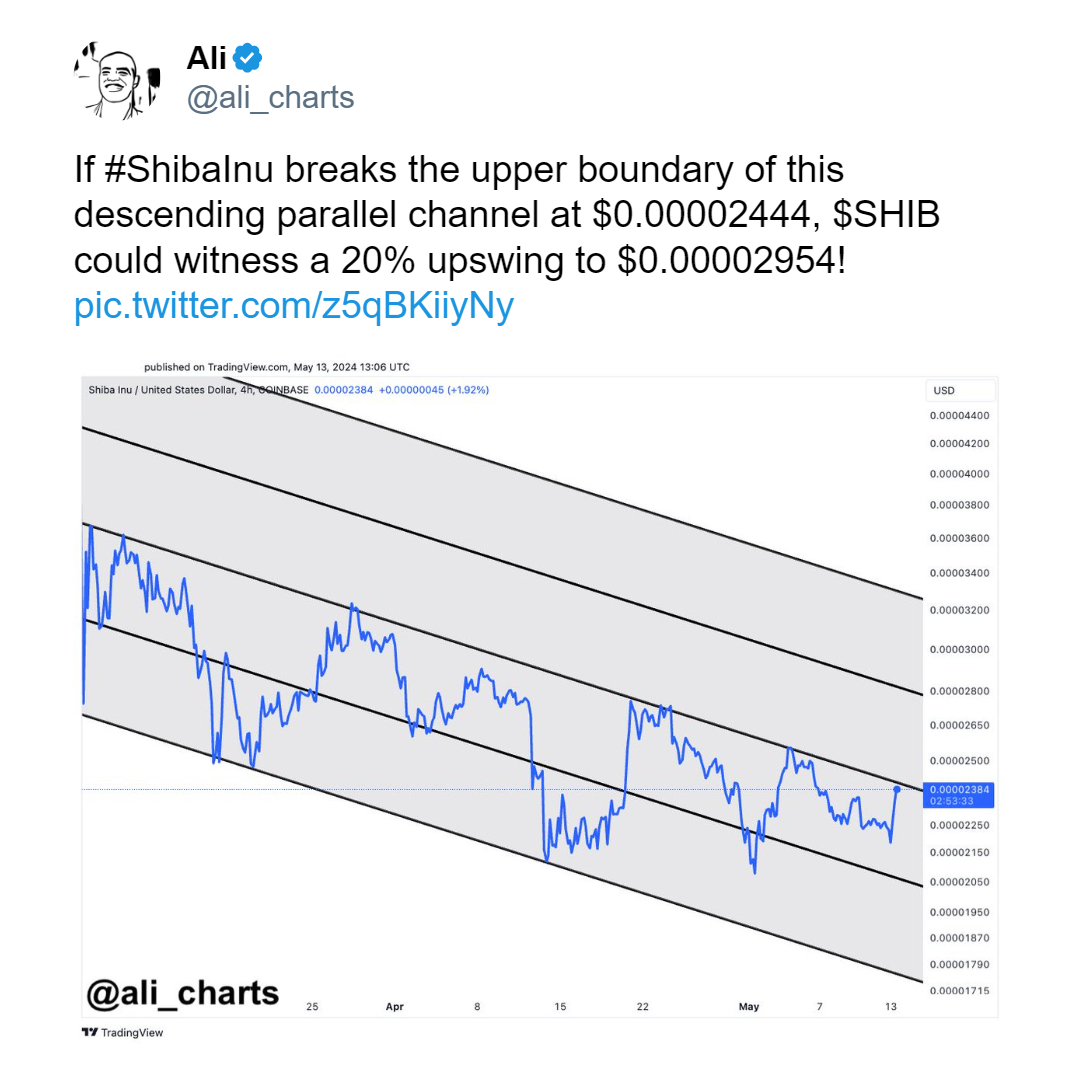 ali_charts shiba bittime
