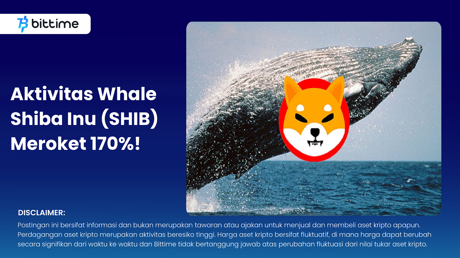 Aktivitas Whale Shiba Inu (SHIB) Meroket 170%!