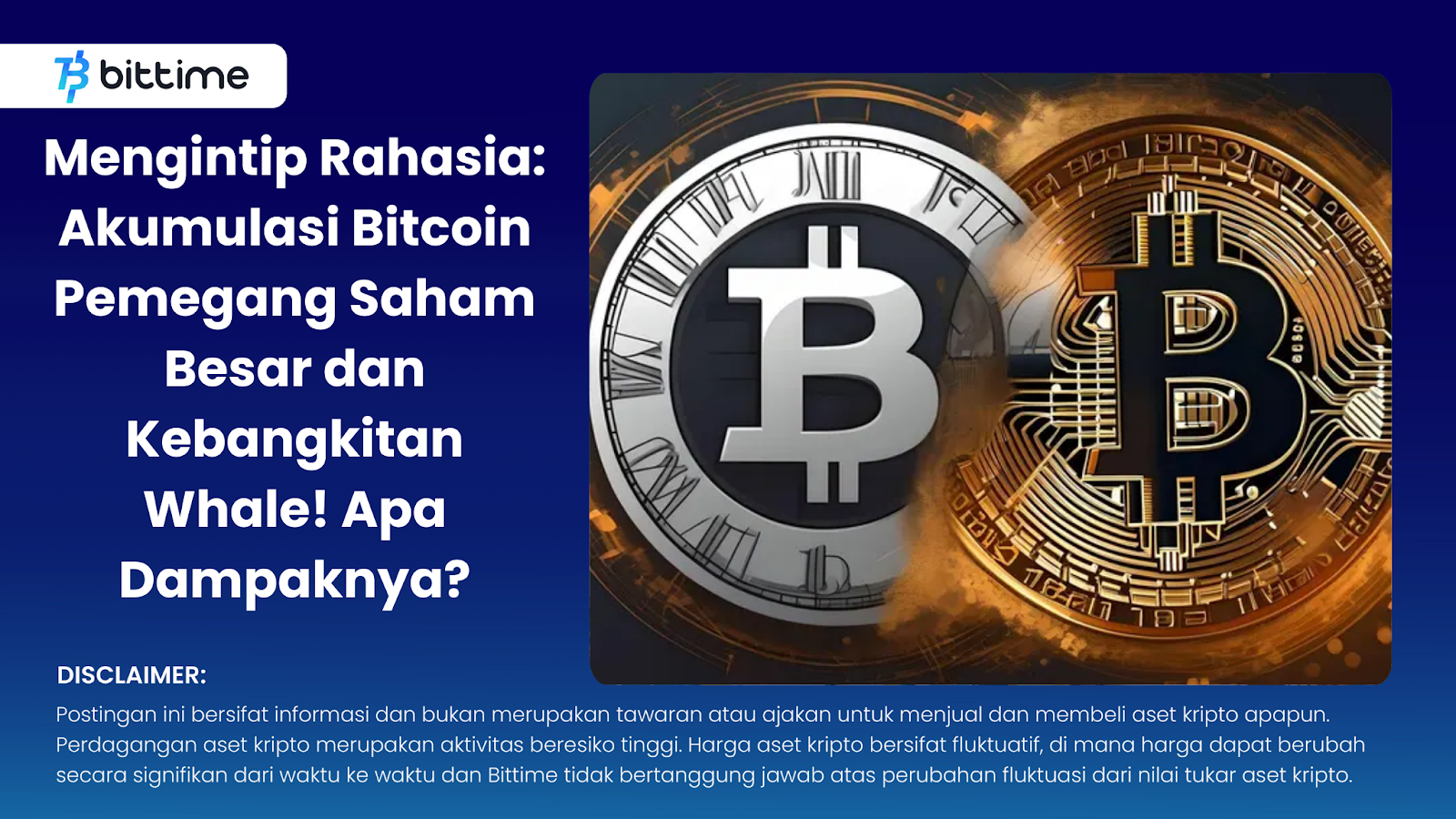 Mengintip Rahasia Akumulasi Bitcoin Pemegang Saham Besar dan Kebangkitan Whale! Apa Dampaknya

