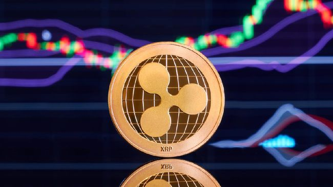 Apa yang Perlu Diketahui Sebelum Staking XRP? Coba Perhatikan Hal Ini!
