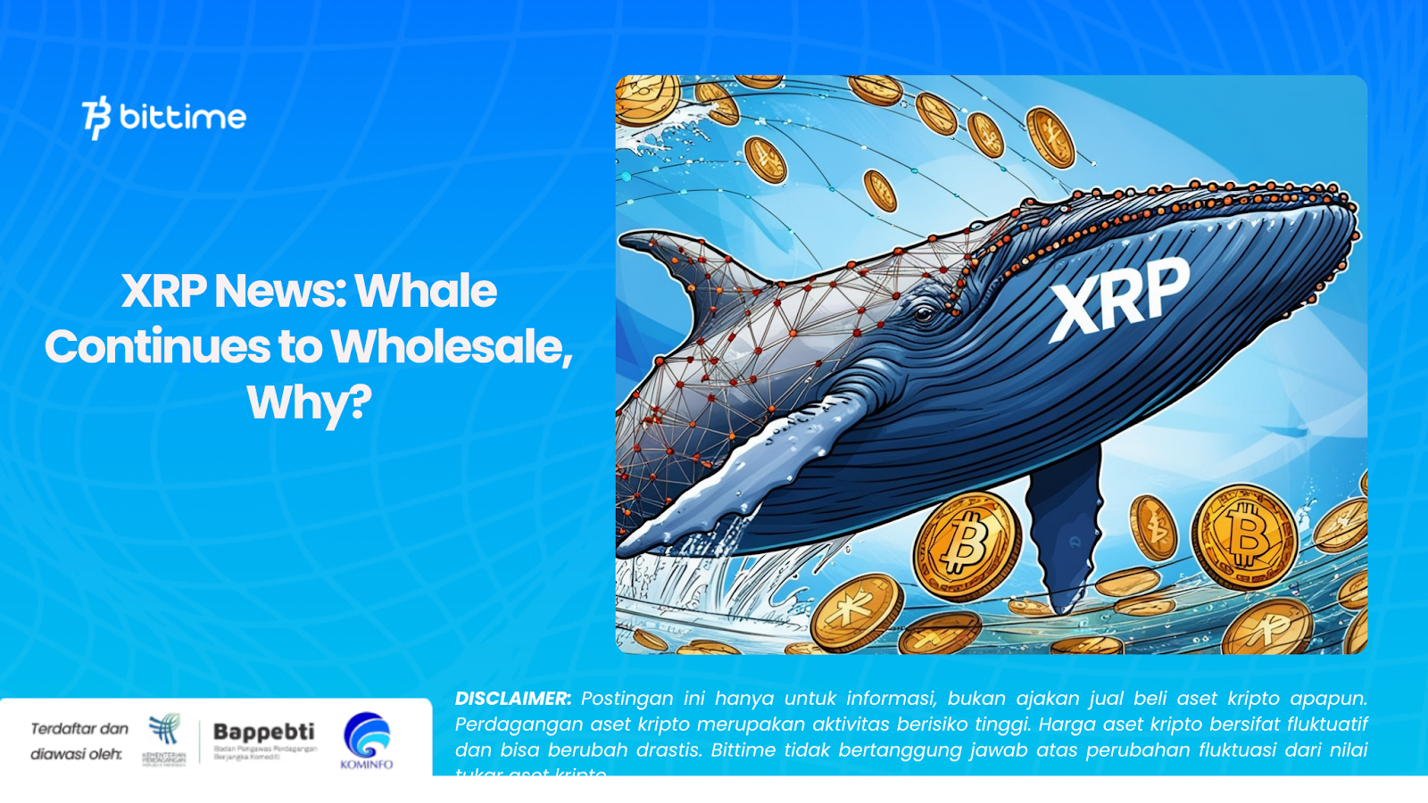 XRP News: Whale Continues to Wholesale, Why?
