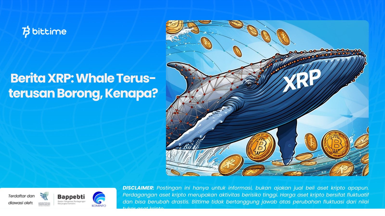 Berita XRP: Whale Terus-terusan Borong, Kenapa?
