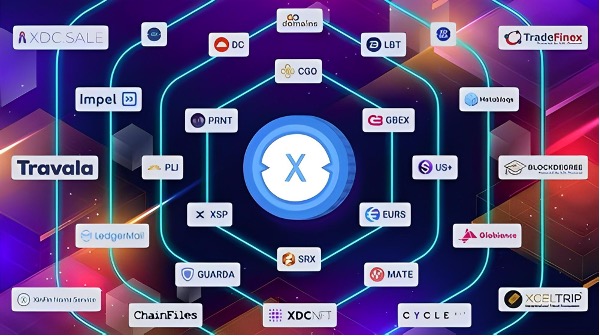 XDC3.jpg