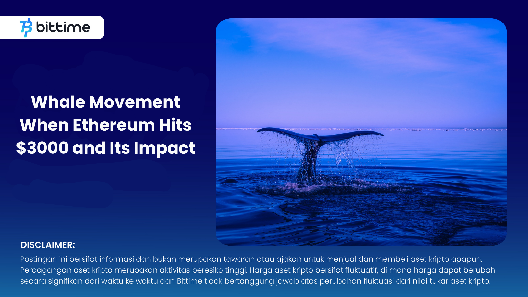 Whale Movement When Ethereum Hits $3000 and Its Impact.png