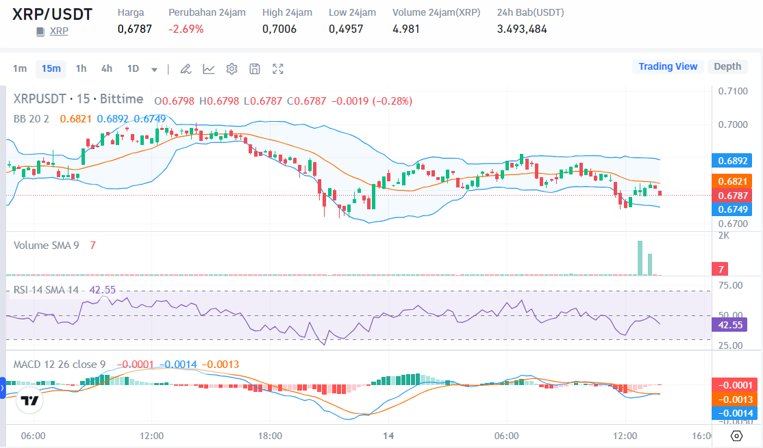 Will XRP Experience a Bull Run and Hit a Record High? This is the Price