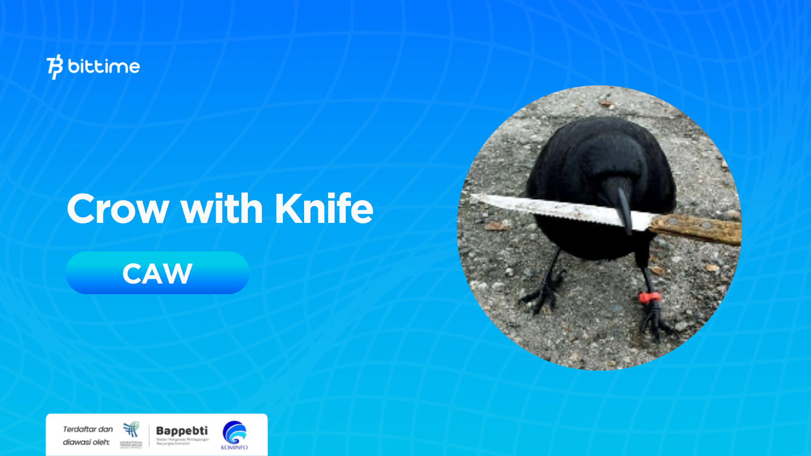 What is a Crow with Knife (CAW)? Viral Bird Coin Meme! – Bittime