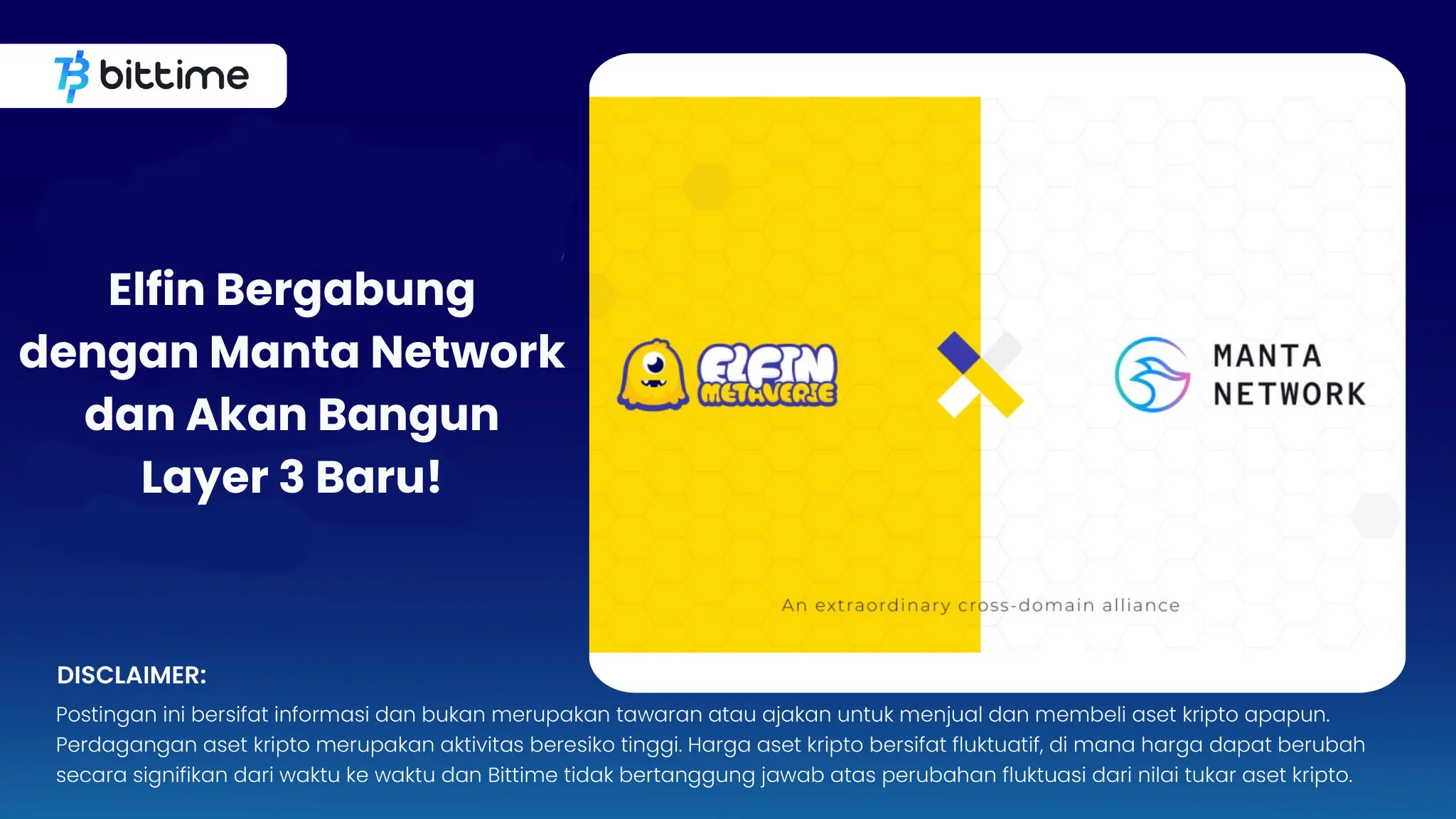 Elfin dan Manta Network.webp