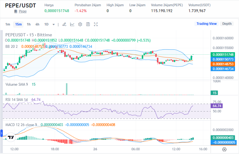 PEPE Price Analysis