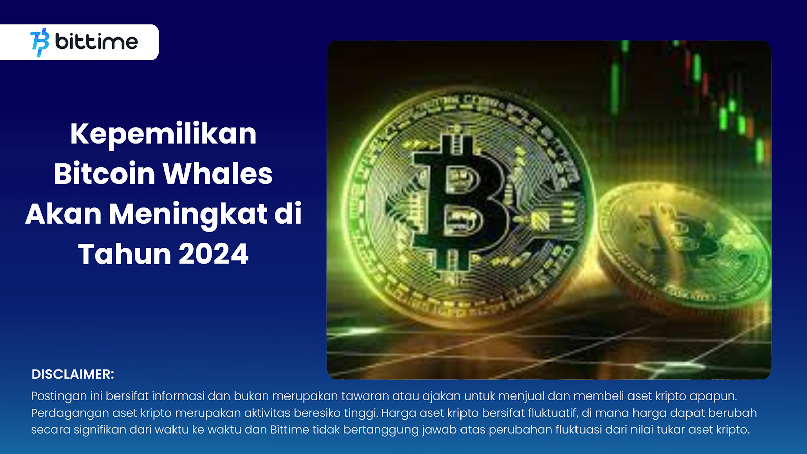 Kepemilikan Bitcoin Whales Akan Meningkat di Tahun 2024
