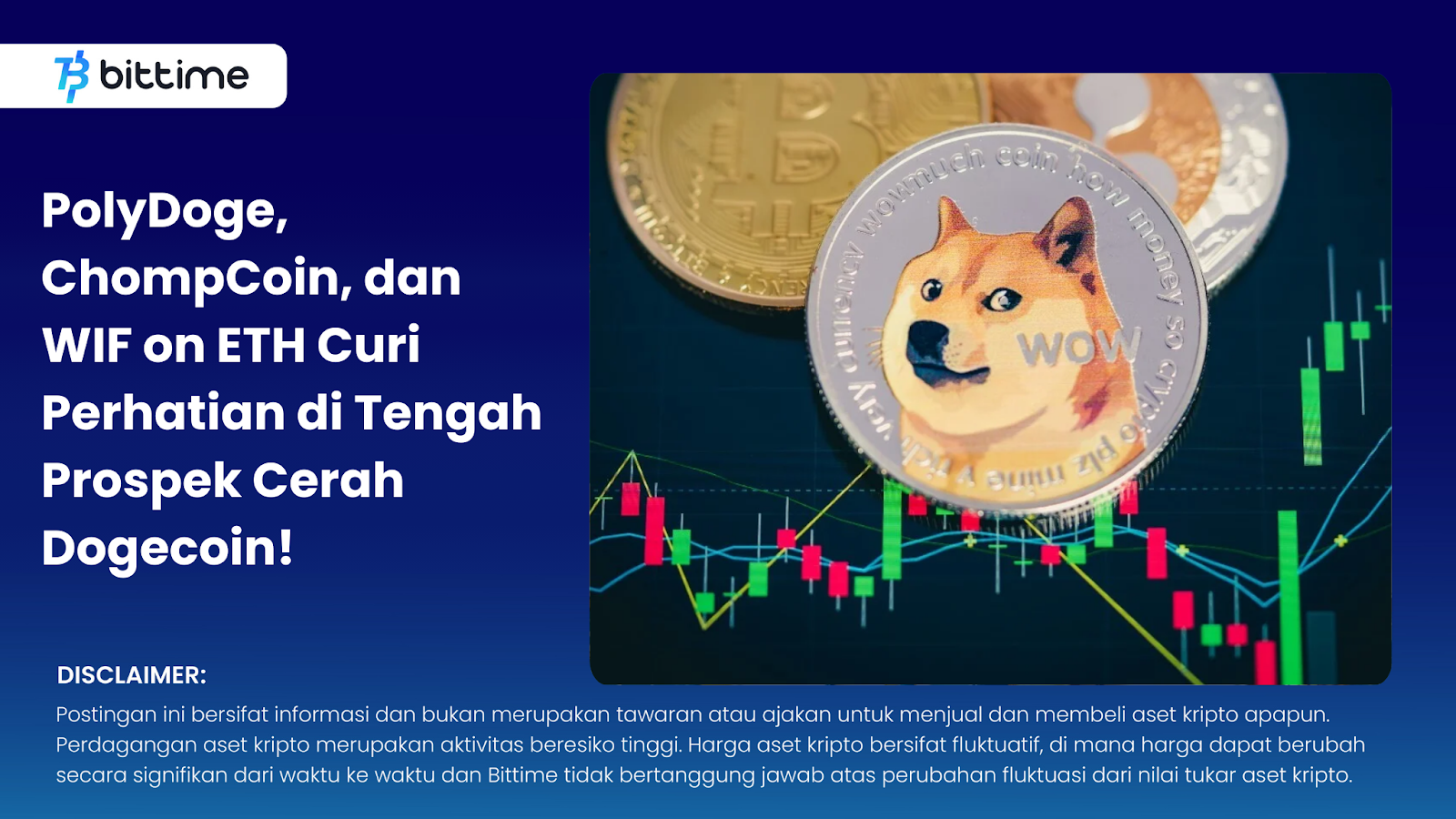 PolyDoge, ChompCoin, and WIF on ETH Steal Attention Amid Dogecoin's Bright Prospects!