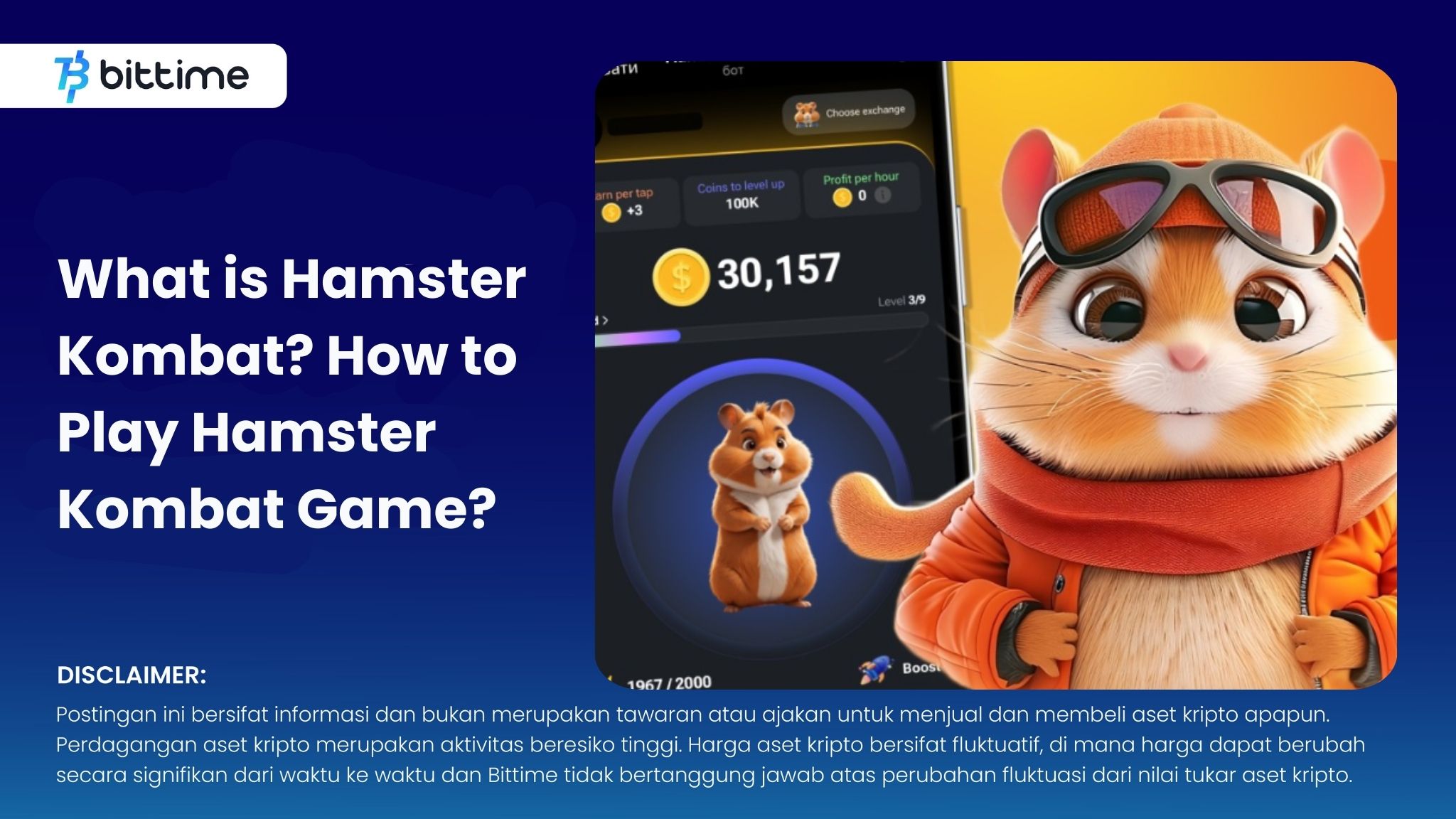 What is Hamster Kombat How to Play Hamster Kombat Game.jpg