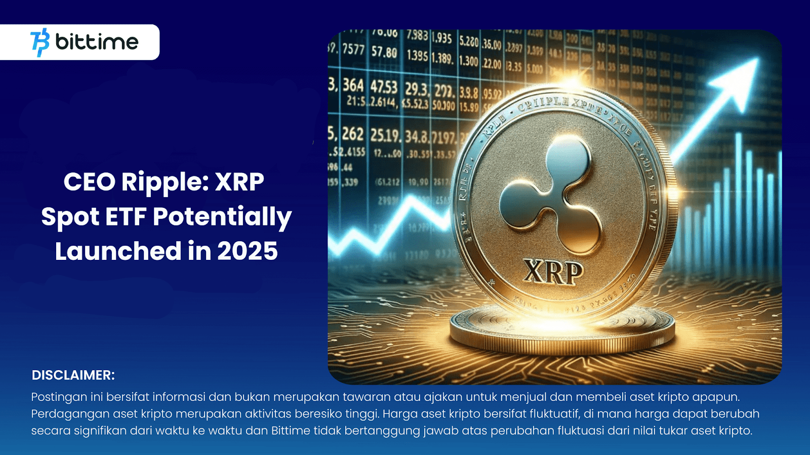 CEO Ripple XRP Spot ETF Potentially Launched in 2025 Bittime