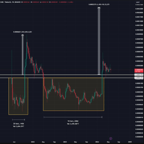 Analyst Predicts Shiba Inu (SHIB) Price Could Rise 1,000%
