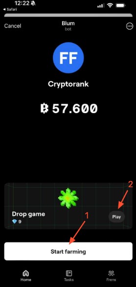 blum 4 airdrop blum.jpg