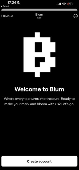 blum 1.jpg
