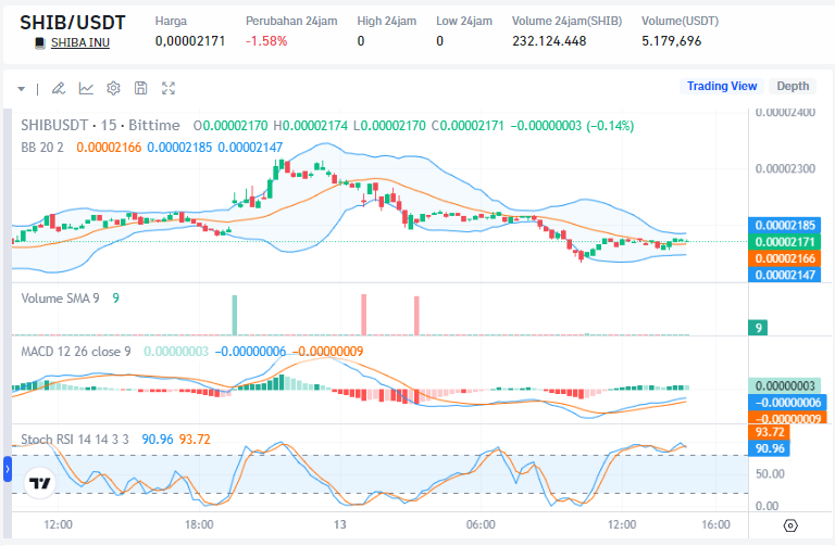 Latest Shiba Inu (SHIB) Price Movement