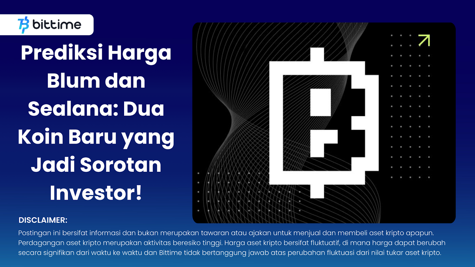 Blum and Sealana Price Predictions: Two New Coins in the Spotlight of Investors!