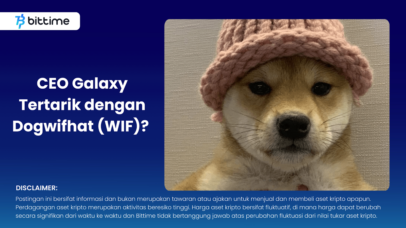 Galaxy CEO Interested in Dogwifhat (WIF)?